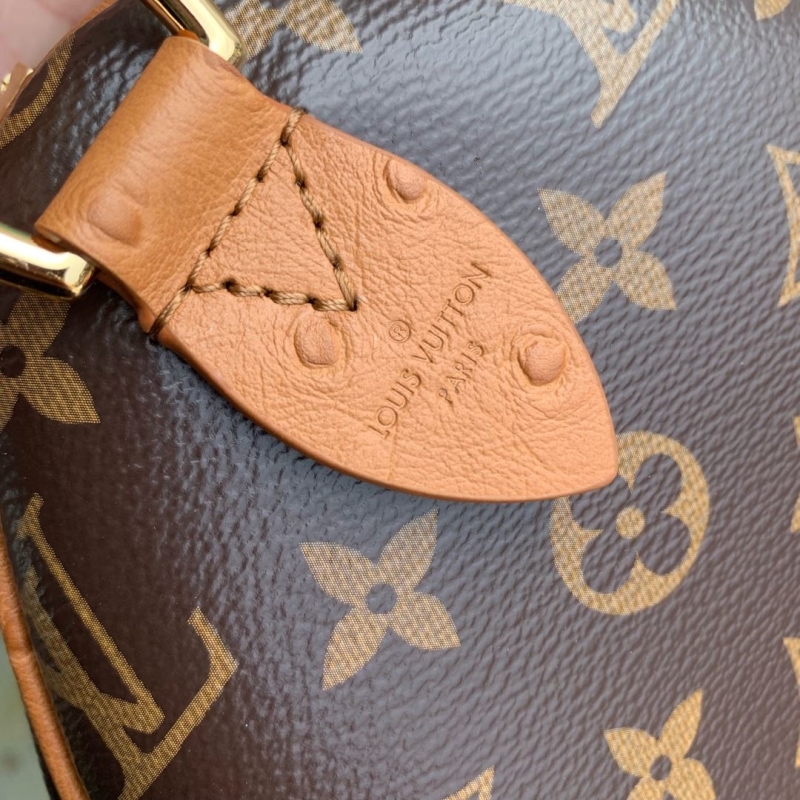 LV Speedy Bags